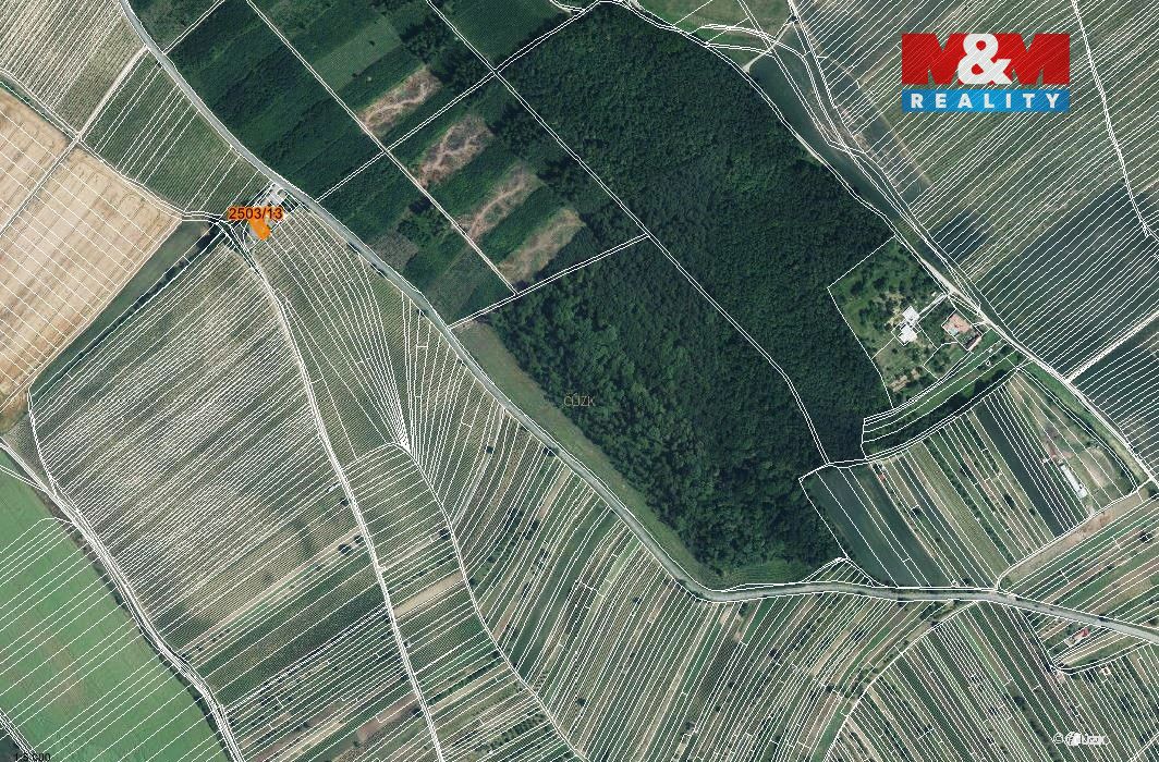 Prodej pozemku o výměře 300 m2 v katastru obce Dolní Bojanov