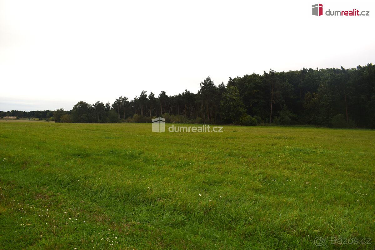 +popl. 8000, , k prodeji rovinatý pozemek u lesa o CP 6490m²