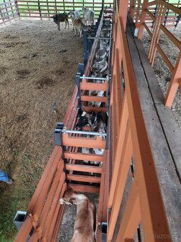 Prodam nadhernou farmu v Kostarice Guaycará Puntarenas, Nadh