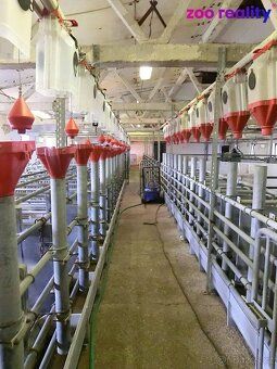 Prodej vepřína - zemědělského objektu nedaleko Třeboně na po