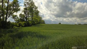 Nabízím na prodej pozemky v Kyjově-Nětčicích o celkové výměř