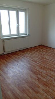 Pronajmu 3+1 se zahradou v Aši Holý nájem 8 500,- Energie = 