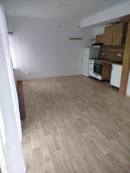 Od 1.7. nabízíme pronájem pěkného bytu po kompletní rekonstr
