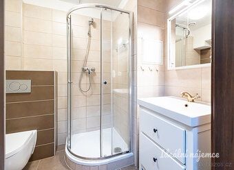 Nabízíme k dlouhodobému pronájmu moderní a útulný byt 1+kk v