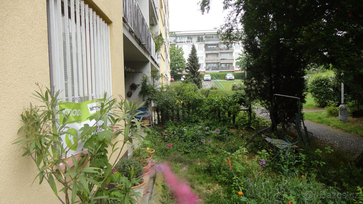 Dobrý den, od září pronajmu byt se zahrádkou, ulice Luhovská