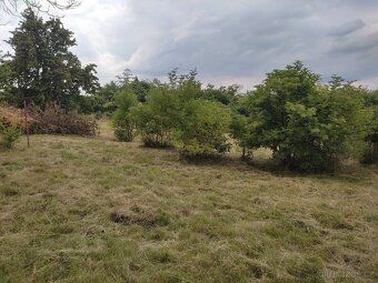 Nabízím stavební pozemky o velikosti 1000m2 v obci Kozomín, 