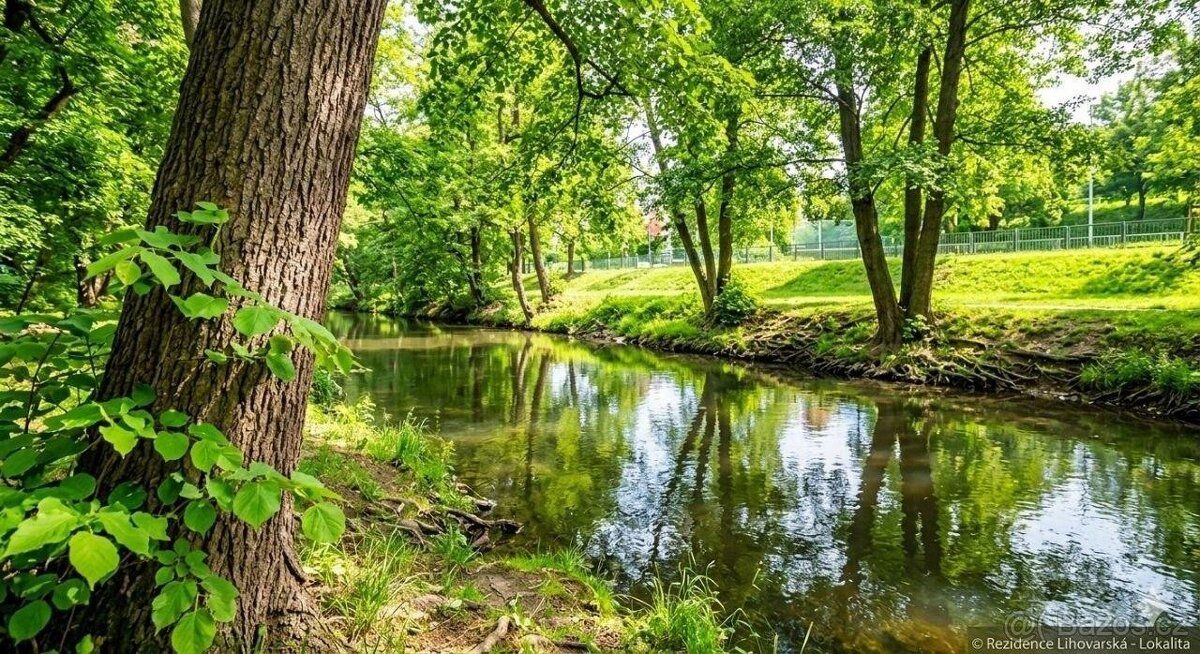 Nabízíme k pronájmu byt 1+kk o výměře 26 m and sup2; v ulici