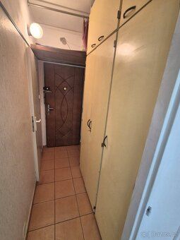 Nabízíme k dlouhodobému pronájmu byt 1+kk o rozloze 20 m² ve