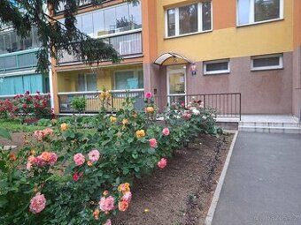 Ev.č. 01762 Designový byt 2+kk s balkonem 12 m² a garážovým 