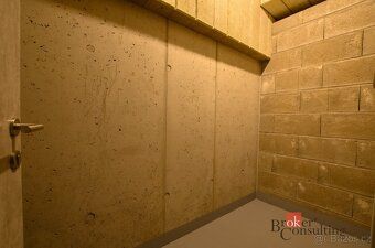 Pronájem, byty/1+kk, 26.46 m2, Železná 3068/18, Jižní Předmě