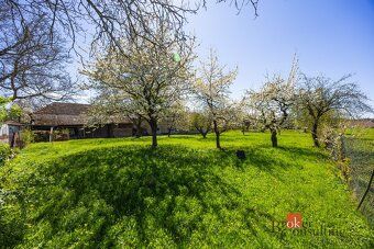 Prodej, domy/rodinný, 412 m2, 51733 Trnov, Rychnov nad Kněžn
