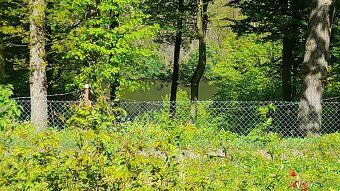 Prodej chaty 50 m2 v rekreační oblasti Trnová nad Měchenicem