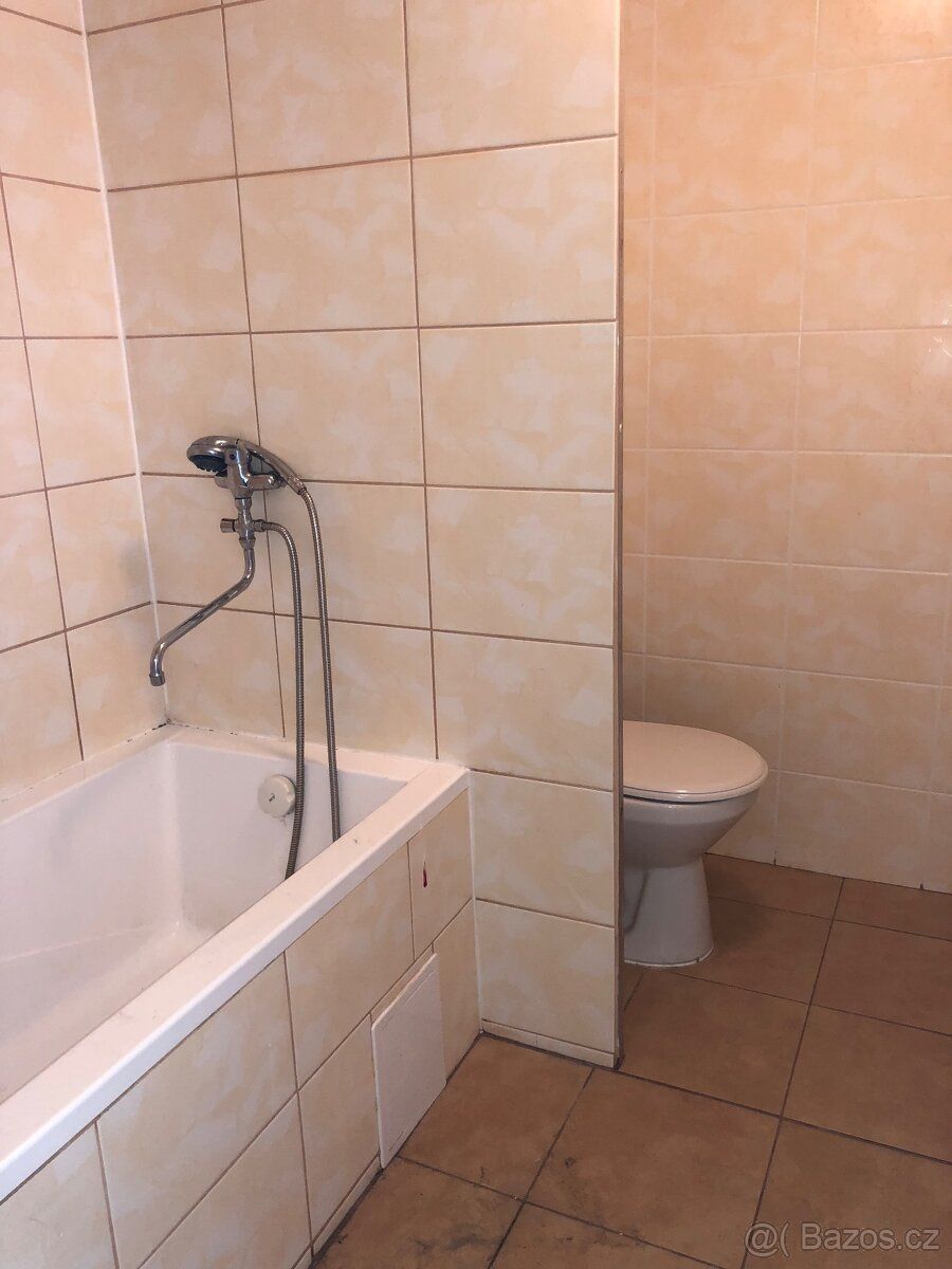 Naše spol. LaRa service CZ s.r.o. Vám nabízí byt k prodeji v