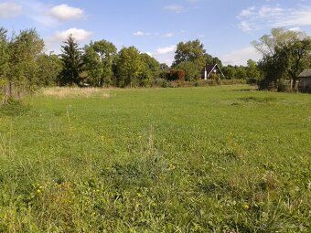 Pronajmu zahradu o výměře 1 555 m2, umístění ve středu obce,