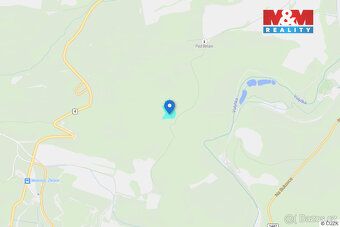 Nabízíme k prodeji lesní pozemky v katastrálním území Nišovi