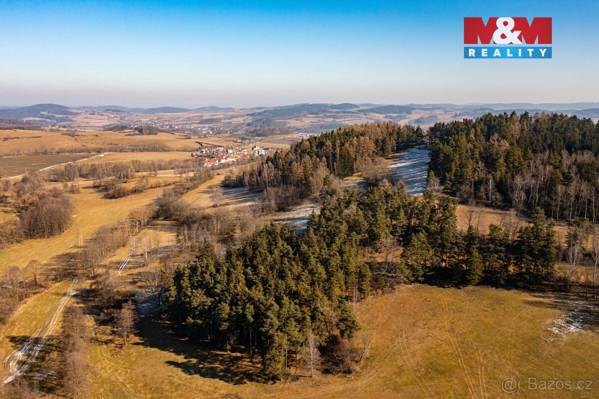 Nabízíme k prodeji lesní pozemky v katastrálním území Nišovi