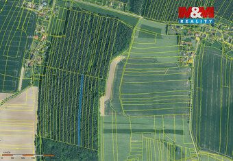 Prodej dvou lesních pozemků o výměře 6005 m2 v těsné blízkos