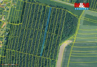 Prodej dvou lesních pozemků o výměře 6005 m2 v těsné blízkos
