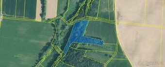 Prodej lesního pozemku o výměře 11147m2. Jedná se o jeden po