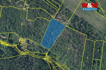 Nabízíme k prodeji krásný lesní pozemek o rozloze 7 458m², n