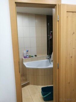 podkrovní byt 30m2, akumulační topení, částečně zateplené. m