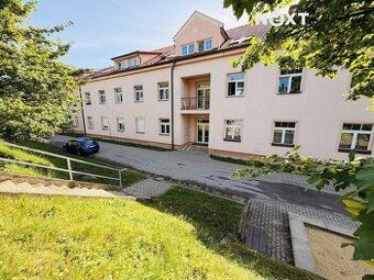 podkrovní byt 30m2, akumulační topení, částečně zateplené. m