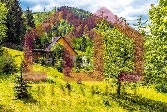 Nabízíme k prodeji výjimečný rodinný dům – chalupu v jedné z