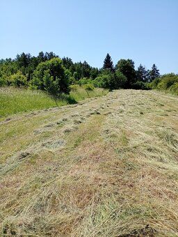 Prodám pozemek, parcelní číslo je 496/4 v obci Brodec, kouse