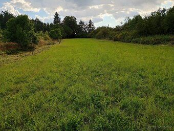 Prodám pozemek, parcelní číslo je 496/4 v obci Brodec, kouse