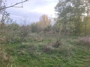 Prodej pozemku s rozlohou 18 300 m². Nabízíme Vám jedinečnou