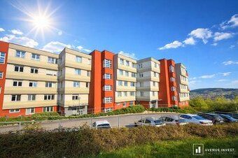 Vyměním byt v OV 2+1 s lodžií a sklepem, za byt v OV 3+1 s b