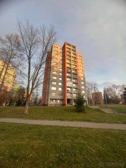 Prodej investičního bytu 1+kk s balkonem na ul. Petruškova, 