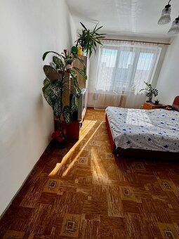 Nabízím k prodeji slunný družstevní byt 2+1 na ulici Čkalovo
