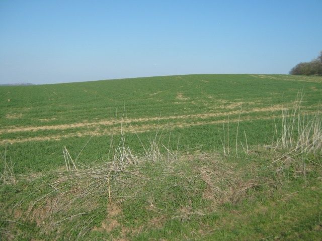 Nabízím k prodeji pozemek-ornou půdu o rozloze 7 069 m2 u ob