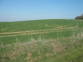 Nabízím k prodeji pozemek-ornou půdu o rozloze 7 069 m2 u ob