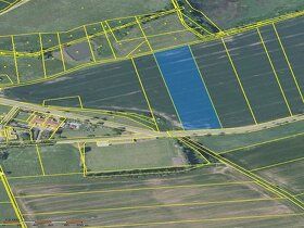 Prodám pozemek o rozloze 10 000 m2, dle současného územního 