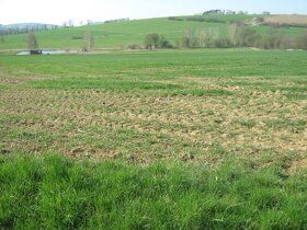 Prodám pozemek o rozloze 10 000 m2, dle současného územního 