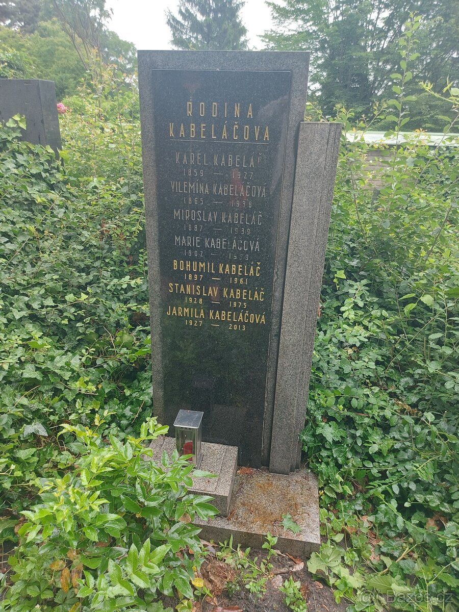 Přenechám starší hrob na hřbitově v Praze Vinohradech