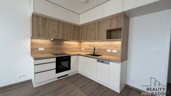 Nabízíme Vám k pronájmu zcela nový, dosud neobydlený moderní
