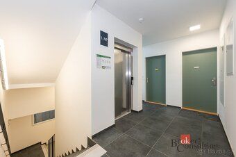 Pronájem, byty/1+kk, 38 m2, Jižní 799/3, Horní Heršpice, 619