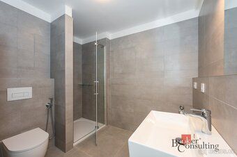 Pronájem, byty/1+kk, 38 m2, Jižní 799/3, Horní Heršpice, 619