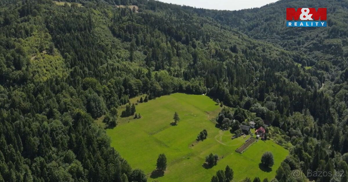 Exkluzivně nabízíme k prodeji lesní pozemek o celkové rozloz