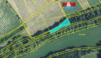 Prodej pozemku o celkové výměře 1260 m2 v katastru obce Klen