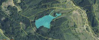 Nabízíme k prodeji lesní pozemek o CP 38165 m2, v katastráln