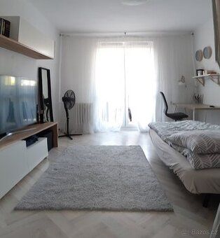 Nabízíme dlouhodobý pronájem bytu 1kk o velikosti 22 m² v Ko