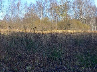 Prodej pozemku na Šumavě o výměře 1 000 m² v katastru Černá 