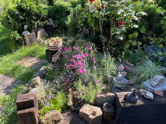 Prodám zděnou zahradní chatu s udržovanou zahradou ve Skalic