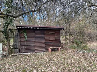 Pronajmu chatu v klidné lokalitě Moravany u Kyjova - Paniháj