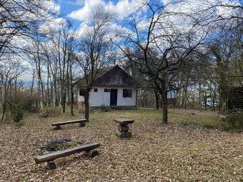 Pronajmu chatu v klidné lokalitě Moravany u Kyjova - Paniháj