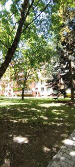 Nabízím k pronájmu byt v osobním vlastnictví 2 + 1 50m2 náje